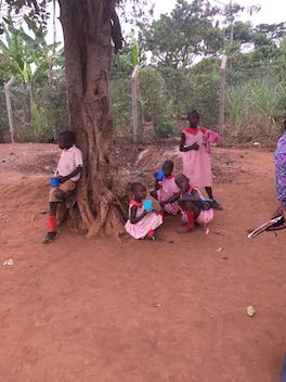 Kids under tree